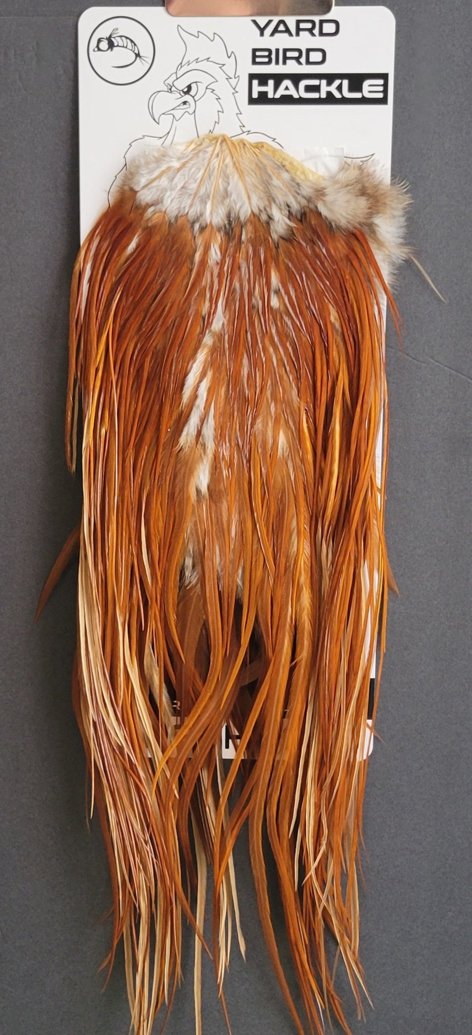Flash Sale Hackle 43 - Yard Bird Saddle NA - Brown (size 14 - 16) - Hackle - Fly Fish Food