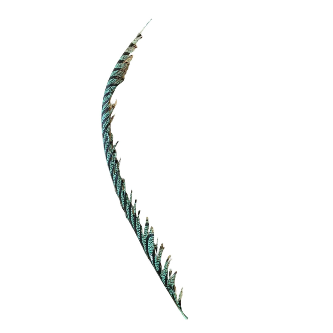 Lady Amherst Center Tail Feather - Feathers &amp; Marabou - Fly Fish Food