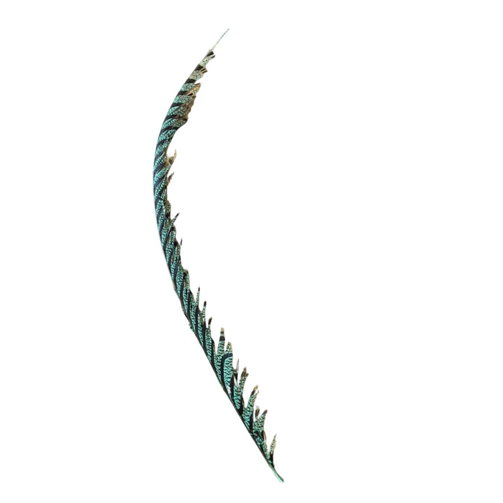 Lady Amherst Center Tail Feather - Feathers &amp; Marabou - Fly Fish Food