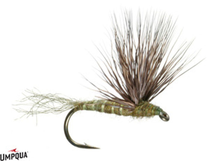 Sparkle Dun - Green Drake - Flies - Fly Fish Food