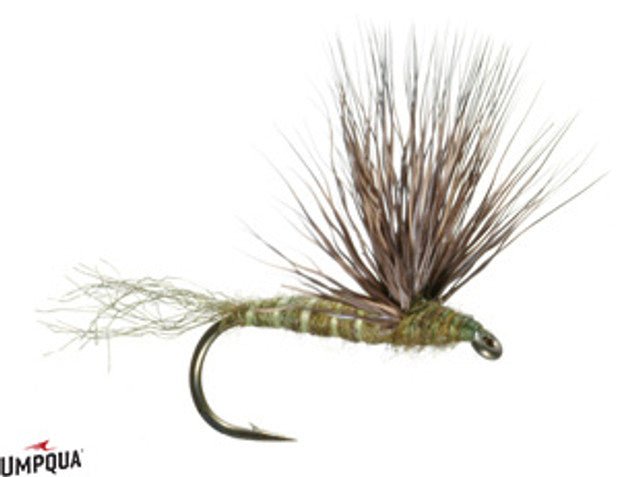 Sparkle Dun Baetis - Gray Olive - Flies - Fly Fish Food