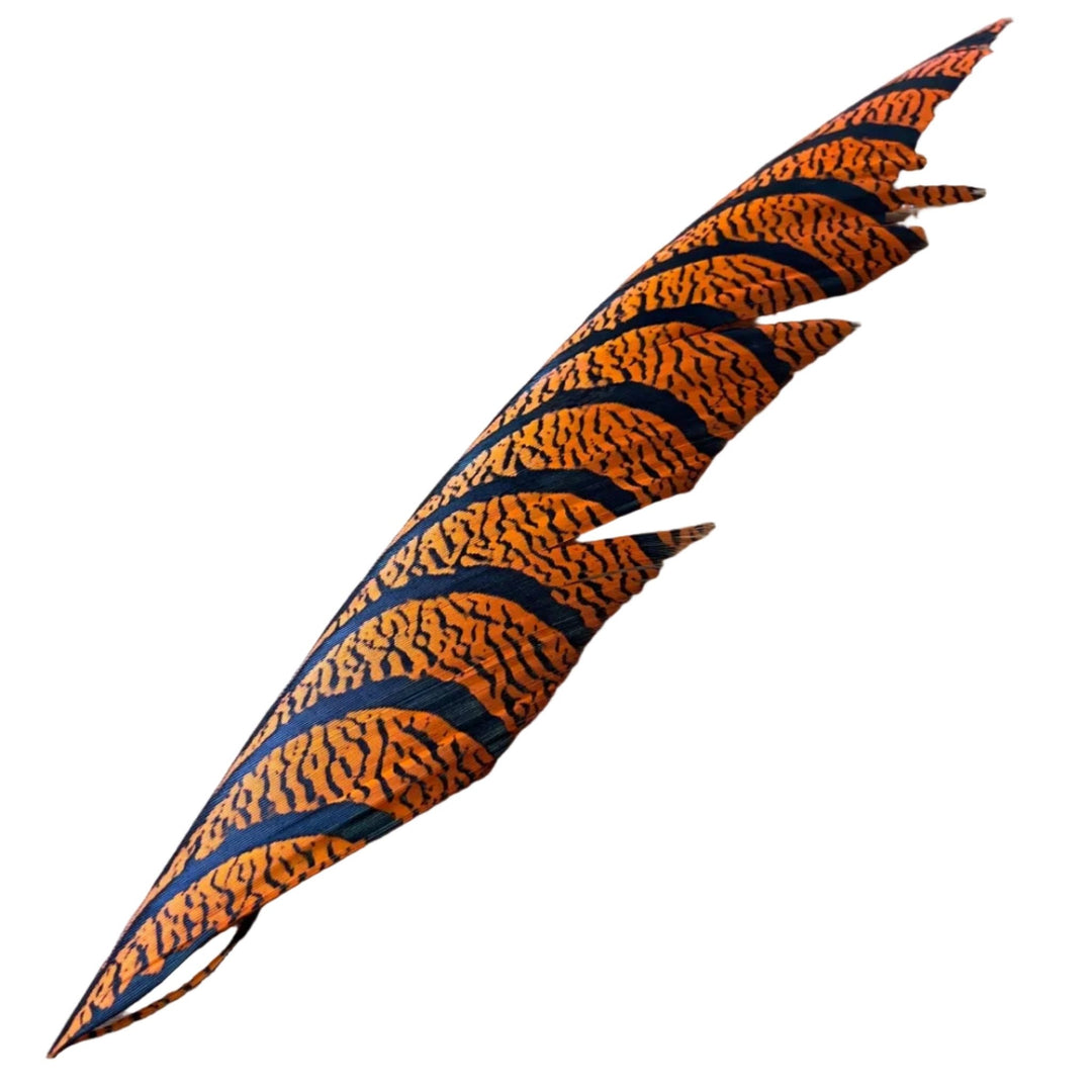 Lady Amherst Center Tail - Halfs - Feathers &amp; Marabou - Fly Fish Food