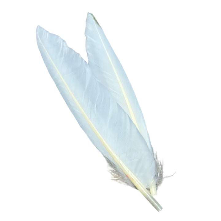 Duck Quills - 2 Pair - Feathers &amp; Marabou - Fly Fish Food