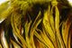 Badger Saddle Hackle 5-7"