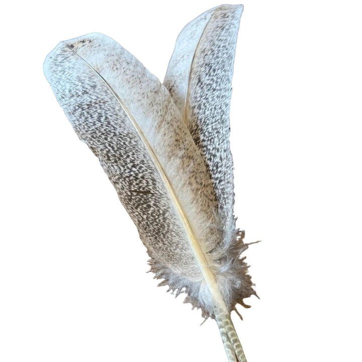 Mottled Ozark Secondary Pair - Feathers &amp; Marabou - Fly Fish Food