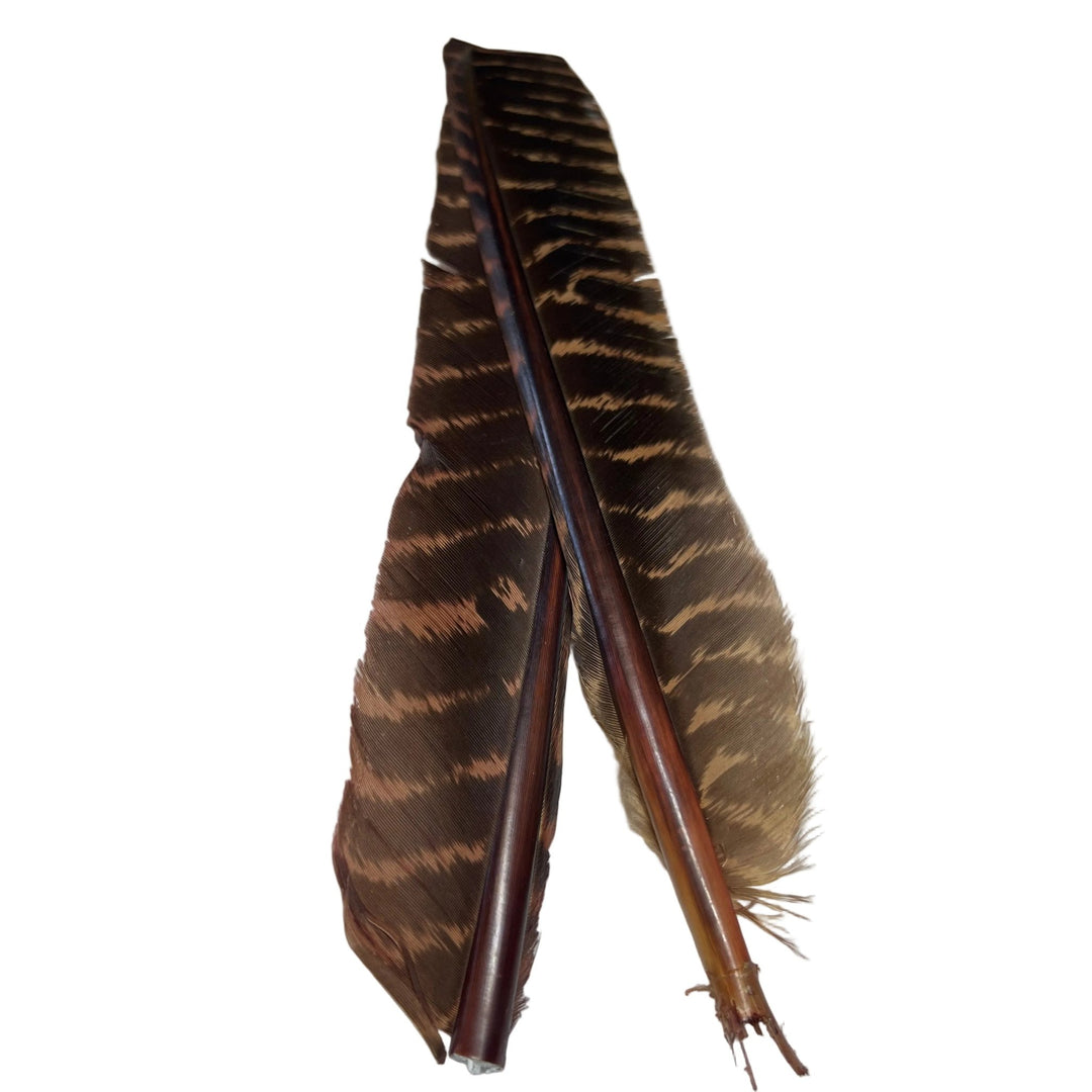 Barred Turkey Biot Quill Pair - Feathers &amp; Marabou - Fly Fish Food