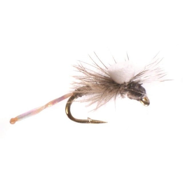 Morgan&