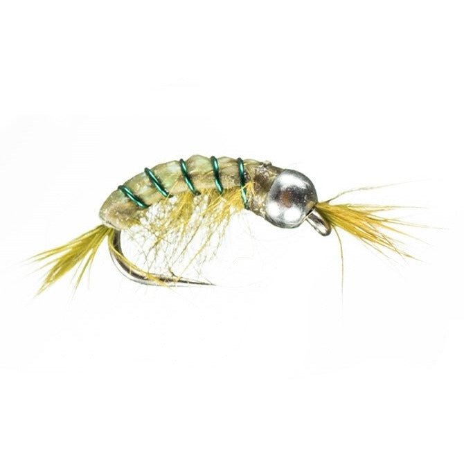 BH Scud - Olive - Flies - Fly Fish Food