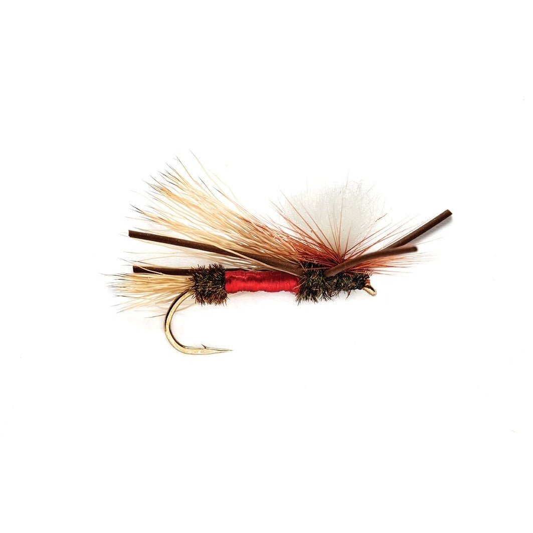 PMX Royal - Flies - Fly Fish Food