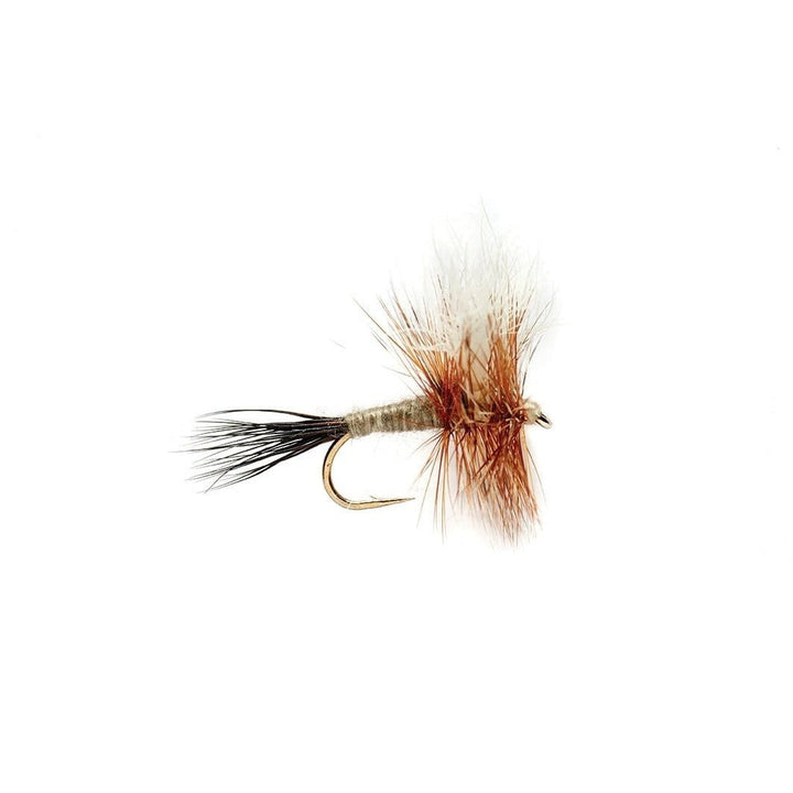 Adams Wulff - Flies - Fly Fish Food