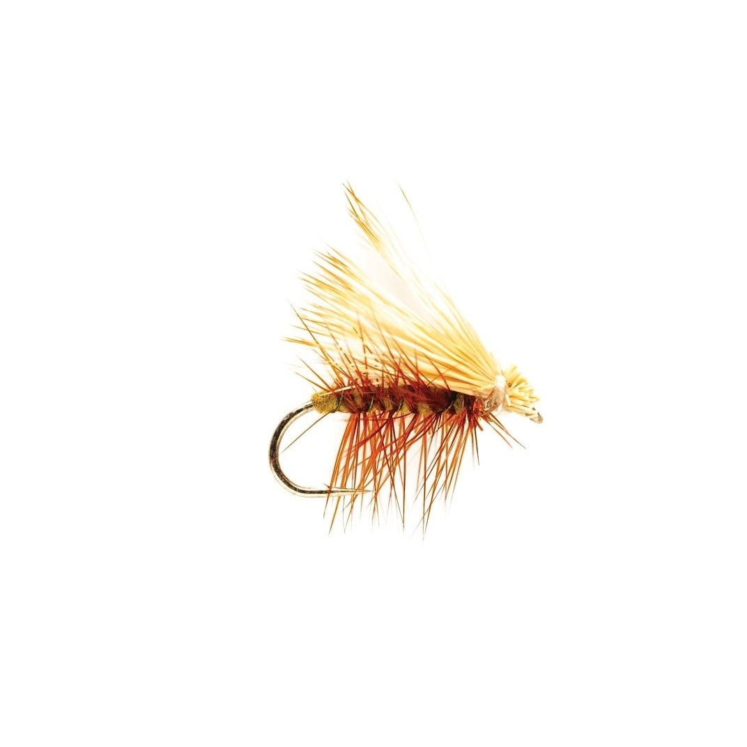 Olive Elk Wing Caddis - Flies - Fly Fish Food