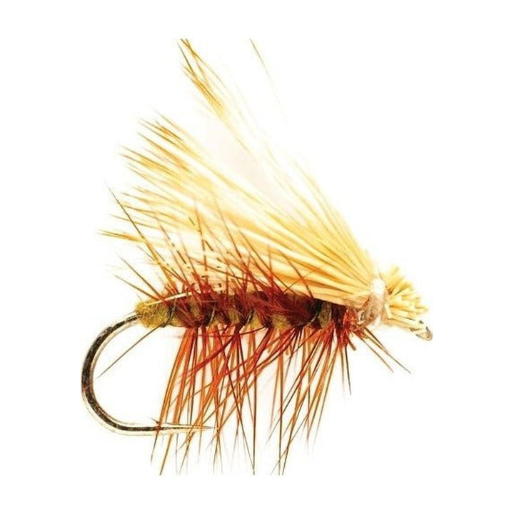 Olive Elk Wing Caddis - Flies - Fly Fish Food