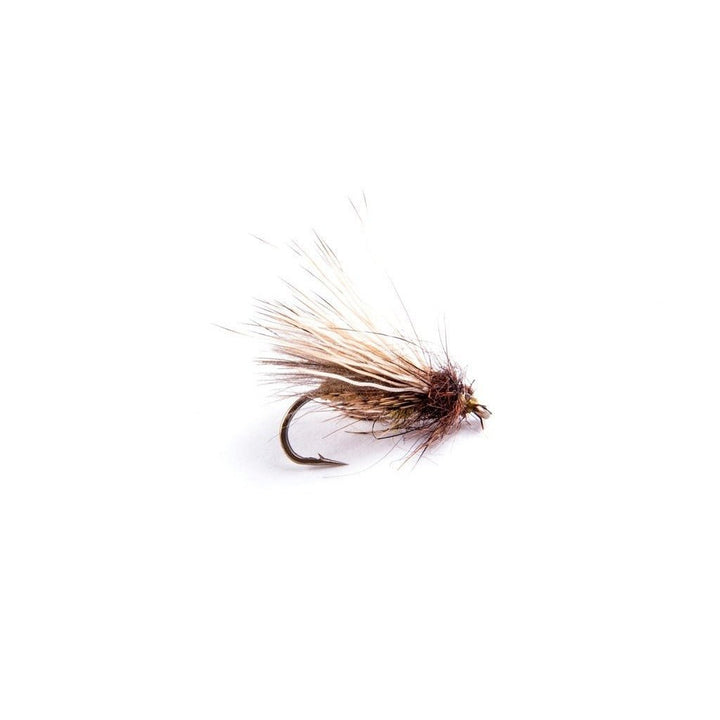 TFP Party on top Caddis - Flies - Fly Fish Food