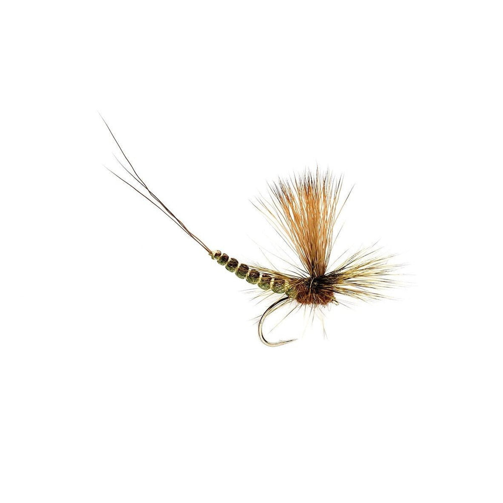 Extended Body Paradrake - Flies - Fly Fish Food