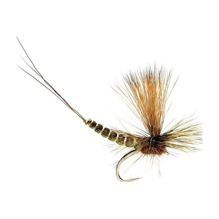 Extended Body Paradrake - Flies - Fly Fish Food