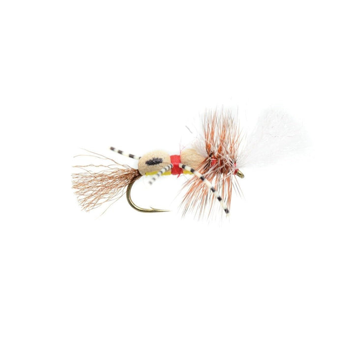 Grumpy Frumpy Yellow/Red - Flies - Fly Fish Food