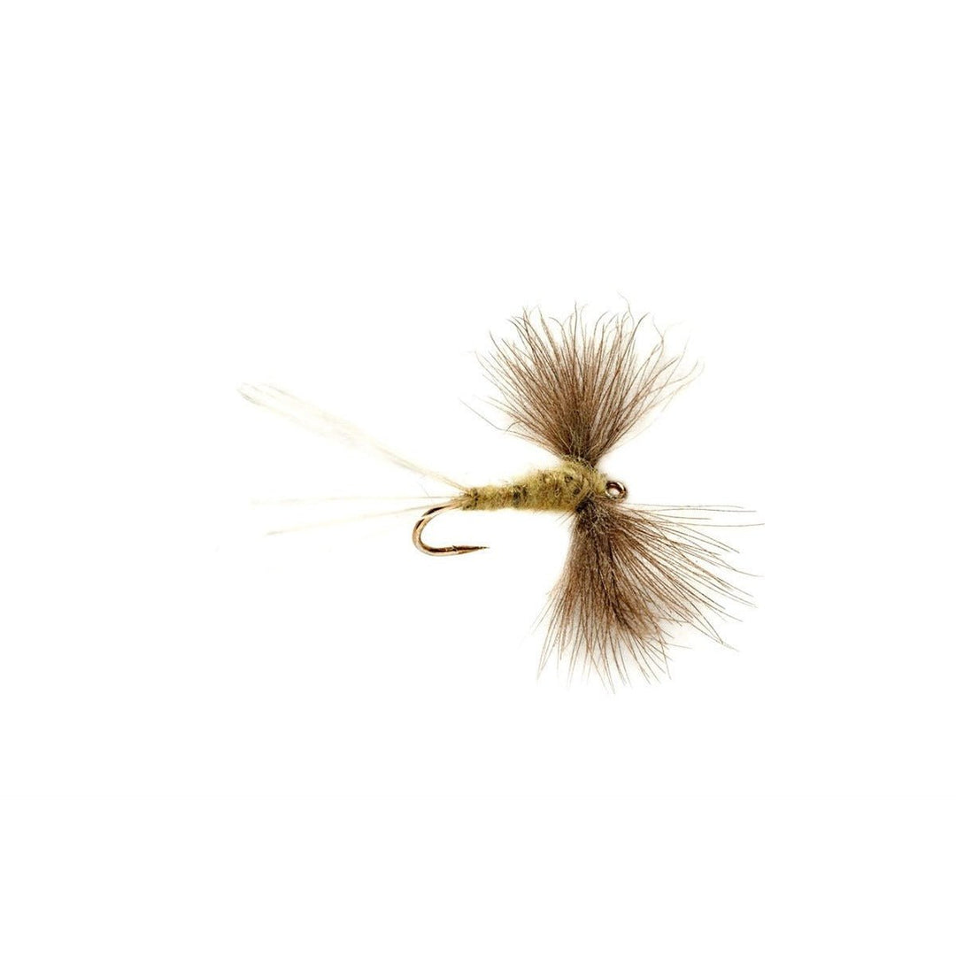 Olive Spinner CdC - Flies - Fly Fish Food