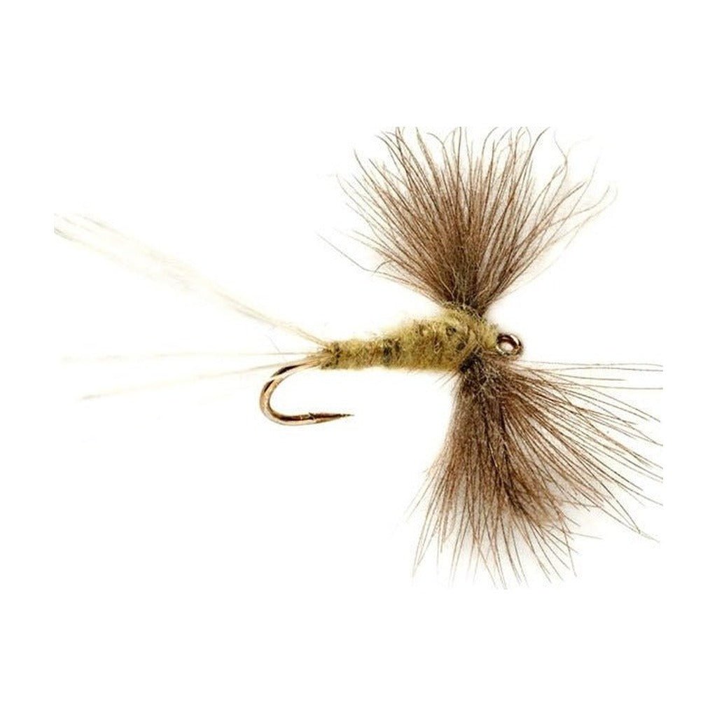Olive Spinner CdC - Flies - Fly Fish Food