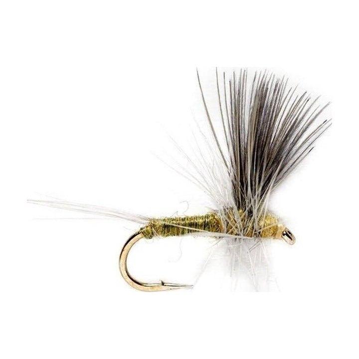 Blue Winged Olive Thorax - Flies - Fly Fish Food