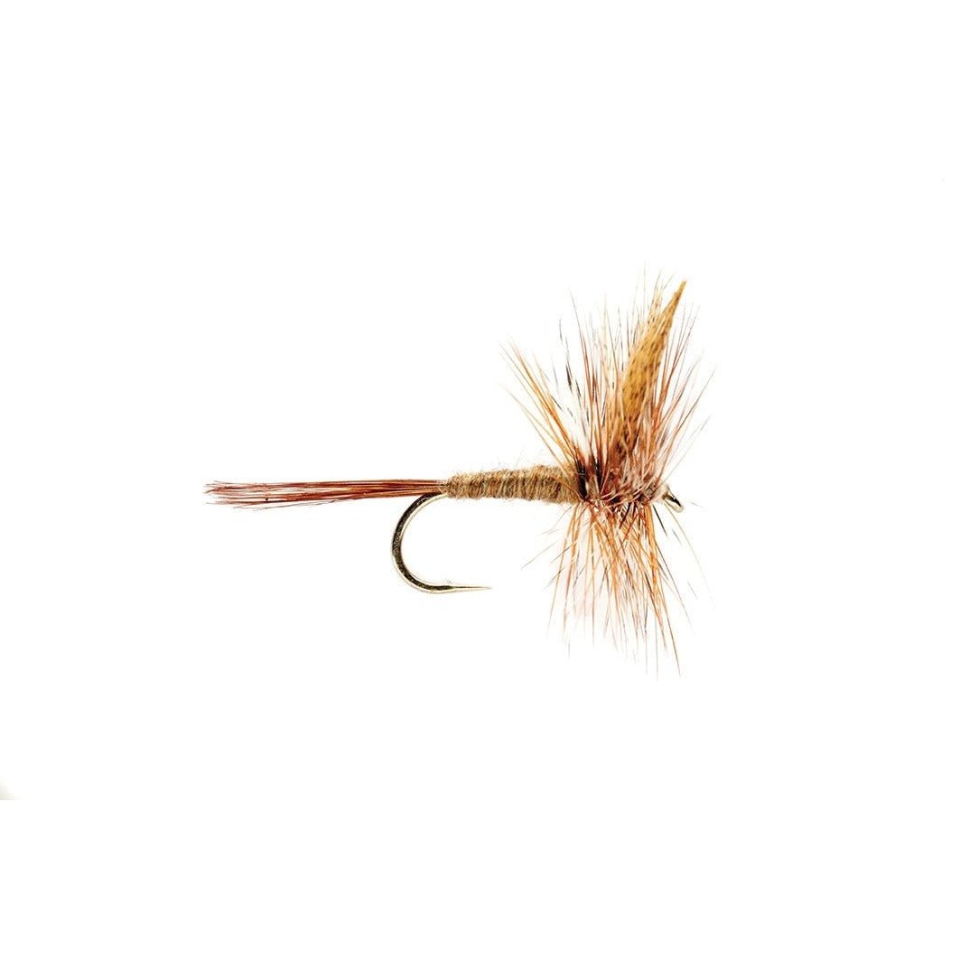 March Brown - Flies - Fly Fish Food