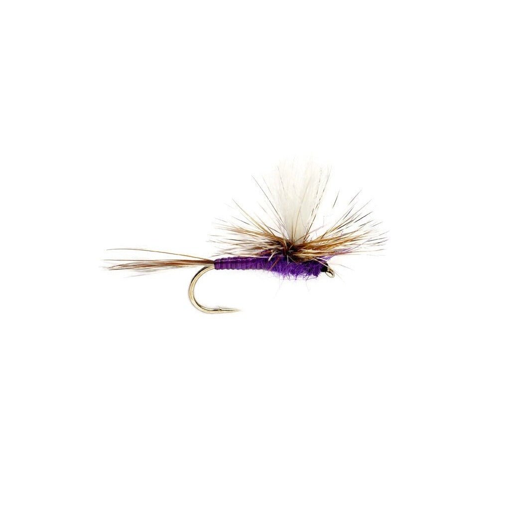 Purple Parachute Adams - Flies - Fly Fish Food
