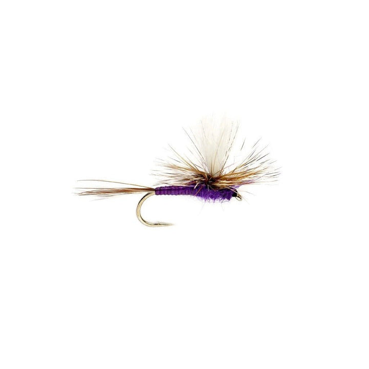 Purple Parachute Adams - Flies - Fly Fish Food