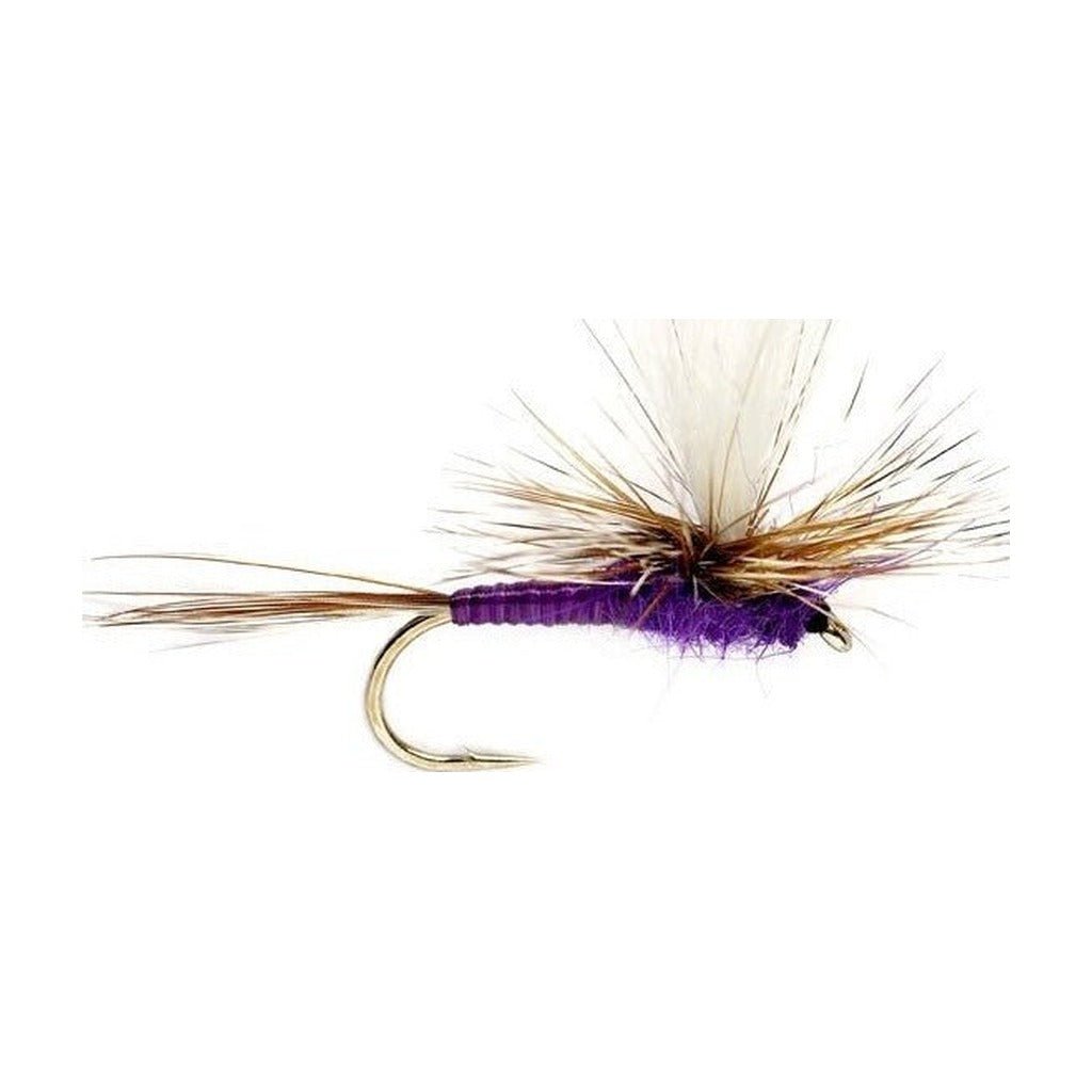 Purple Parachute Adams - Flies - Fly Fish Food