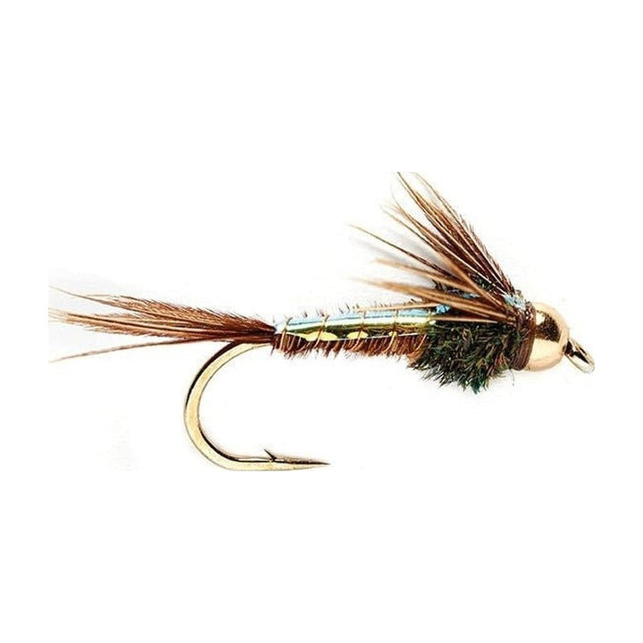 Flashback American Pheasant Tail (BH) - Flies - Fly Fish Food