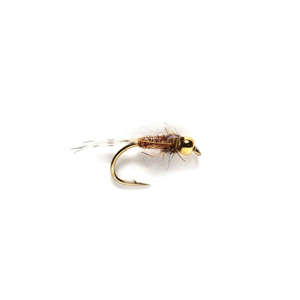 Pheasant Tail Flashback (TBH) - Flies - Fly Fish Food