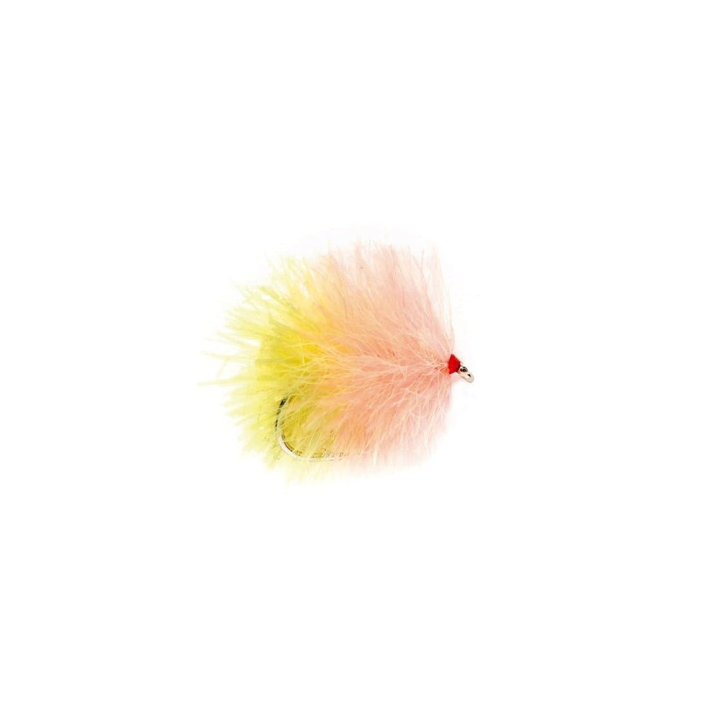 FAB - Biscuit - Flies - Fly Fish Food