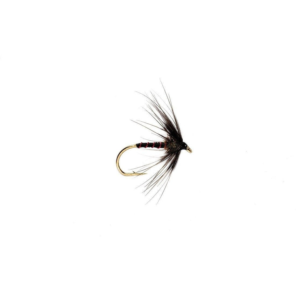 Spider Black Magic - Flies - Fly Fish Food