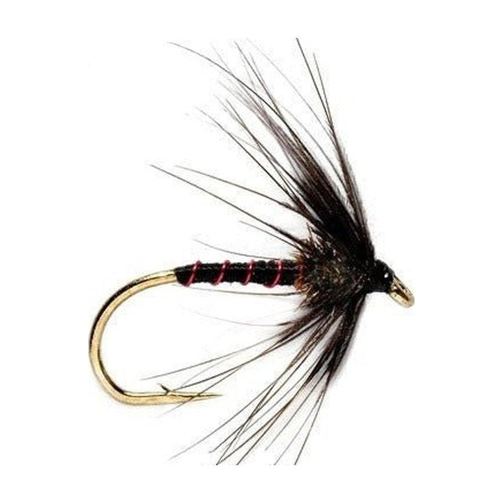Spider Black Magic - Flies - Fly Fish Food