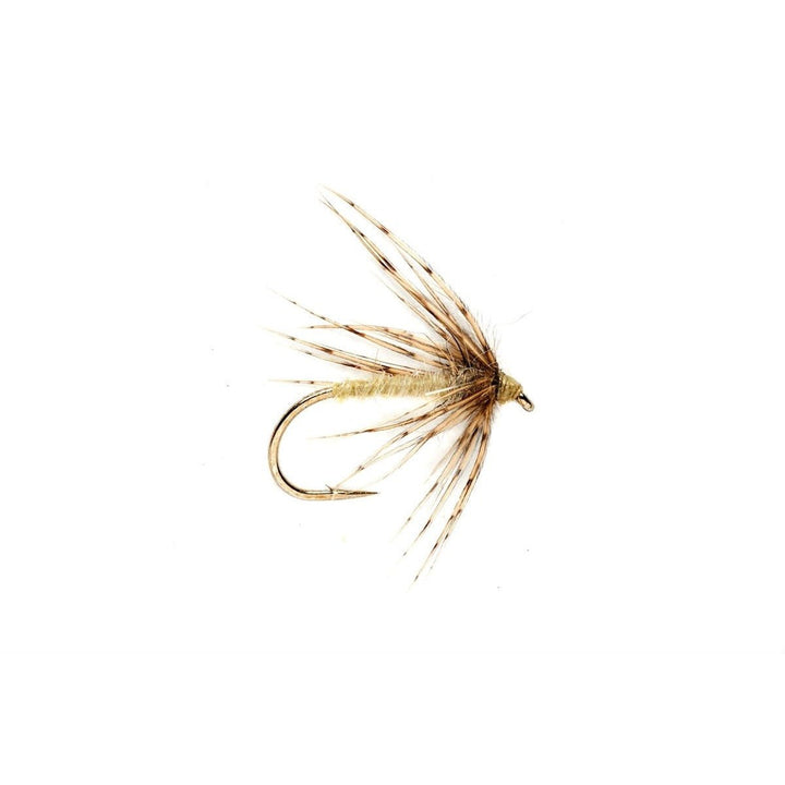 Spider Caddis Pale Yellow - Flies - Fly Fish Food