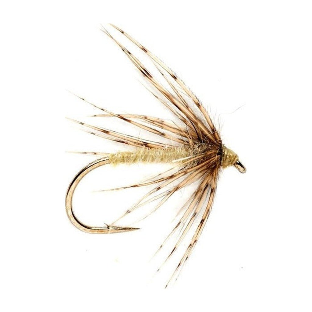 Spider Caddis Pale Yellow - Flies - Fly Fish Food