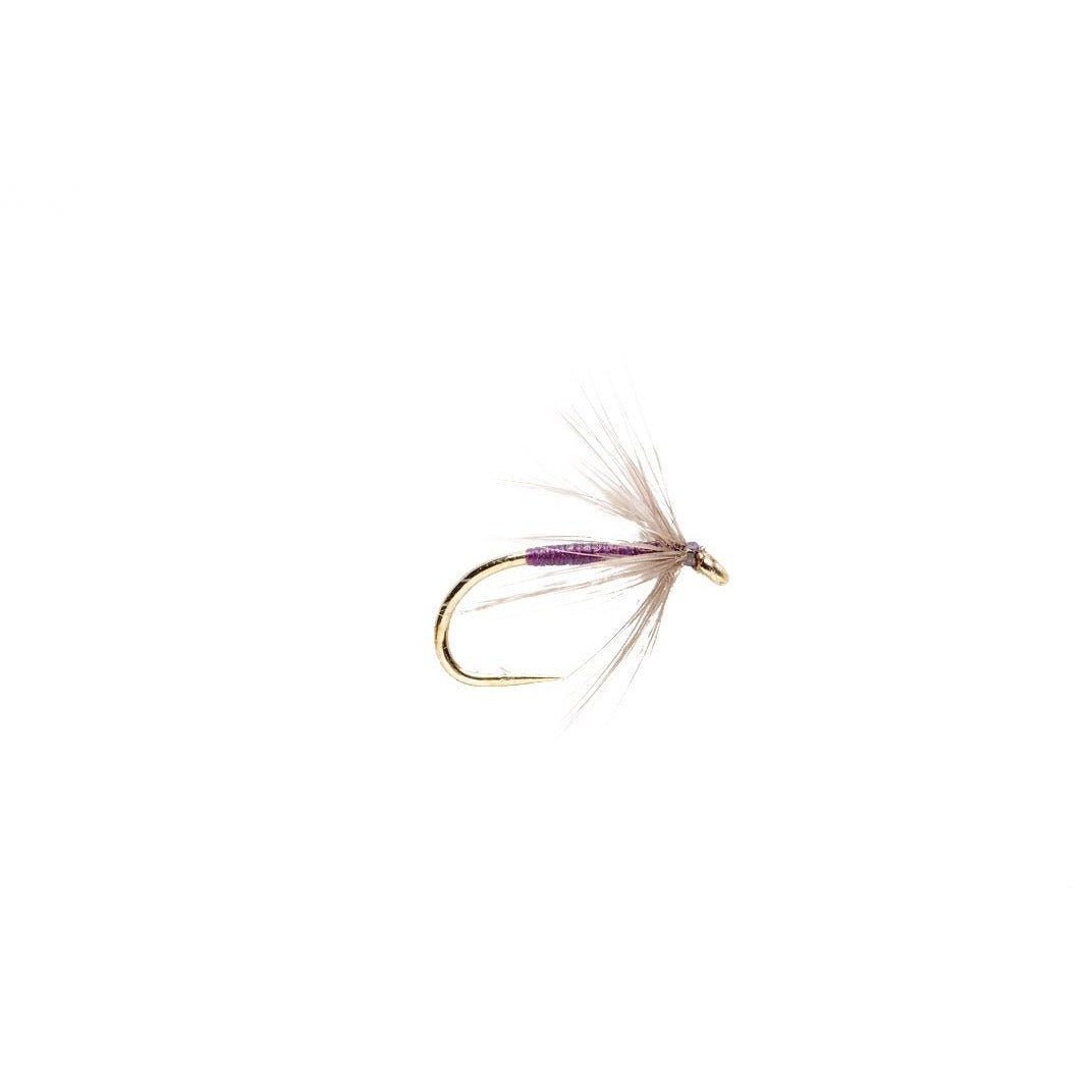 Snipe &amp; Purple - Flies - Fly Fish Food