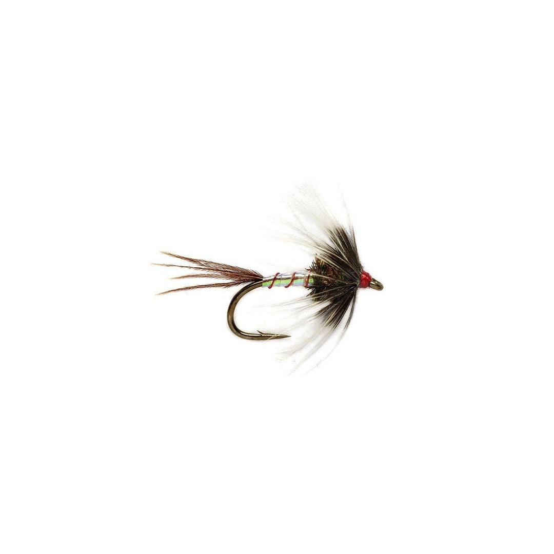 DW Catchall Spider - Flies - Fly Fish Food
