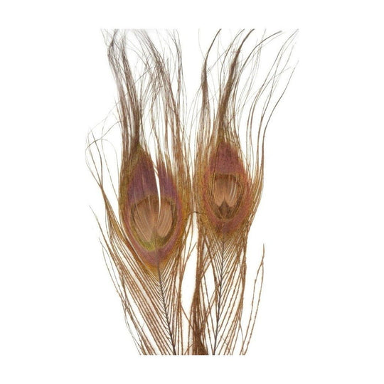 Nature's Spirit Bleached Dyed Peacock Sticks - Feathers & Marabou - Fly Fish Food