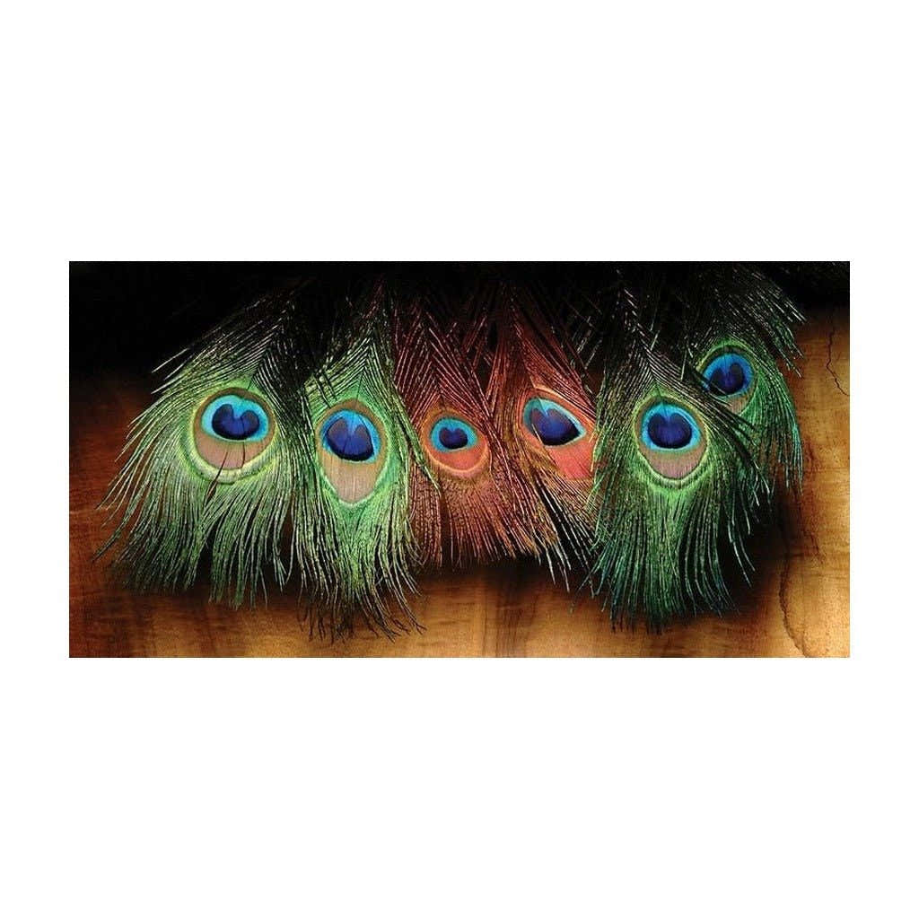 Hareline Dyed Peacock Eye Sticks - Feathers & Marabou - Fly Fish Food