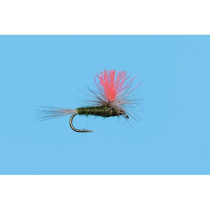Hi - Vis BWO - Flies - Fly Fish Food