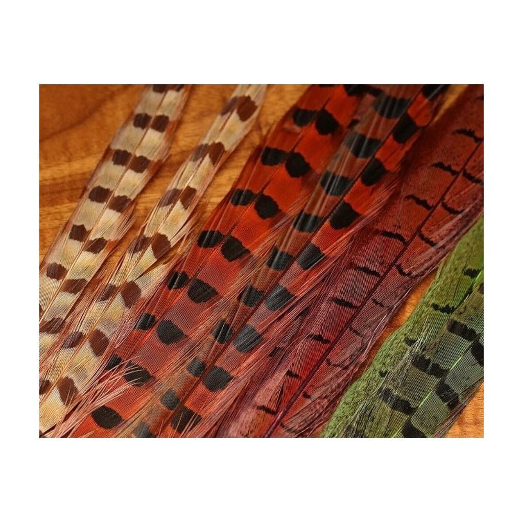 UV2 Ringneck Pheasant Tail - Feathers & Marabou - Fly Fish Food
