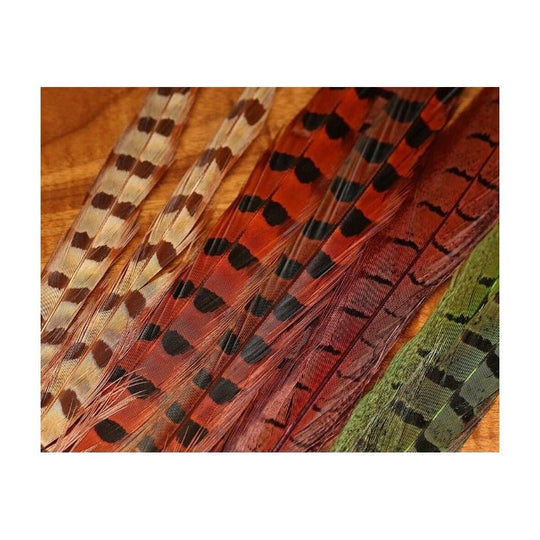 UV2 Ringneck Pheasant Tail - Feathers & Marabou - Fly Fish Food