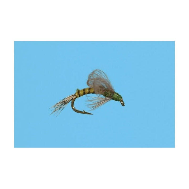 Loop Wing Emerger - Olive - Flies - Fly Fish Food