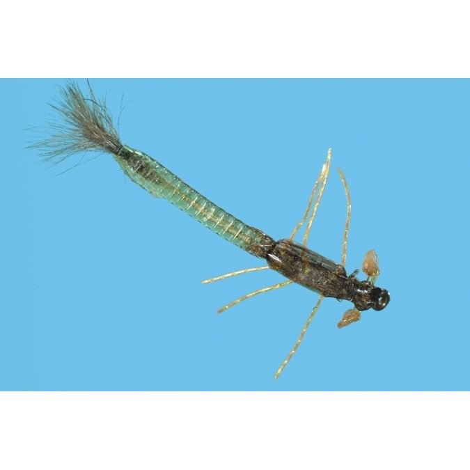 Ultra Damsel Nymph - Olive - Flies - Fly Fish Food