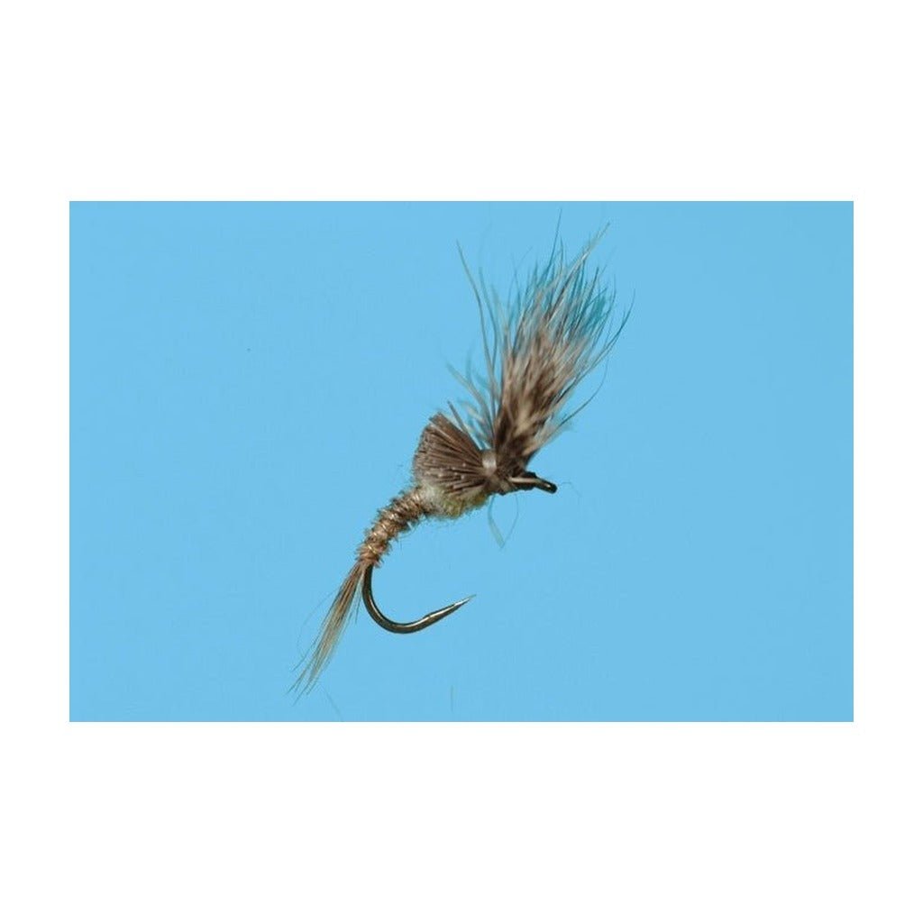 Morris May Emerger - PMD - Flies - Fly Fish Food
