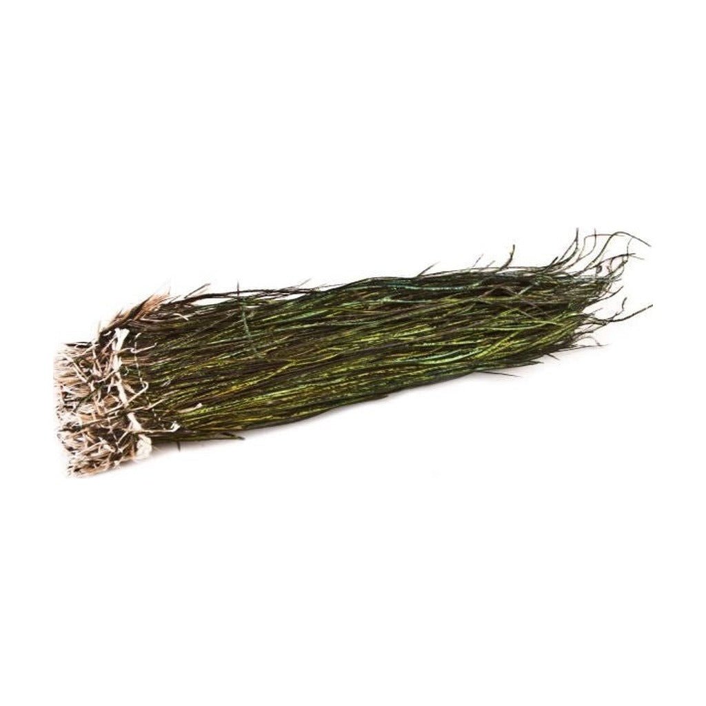 Strung Peacock Herl - Feathers &amp; Marabou - Fly Fish Food