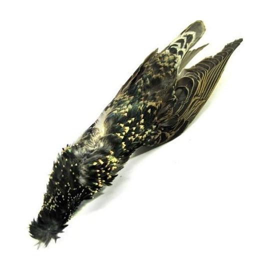 Nature's Spirit Starling Skin - Feathers & Marabou - Fly Fish Food