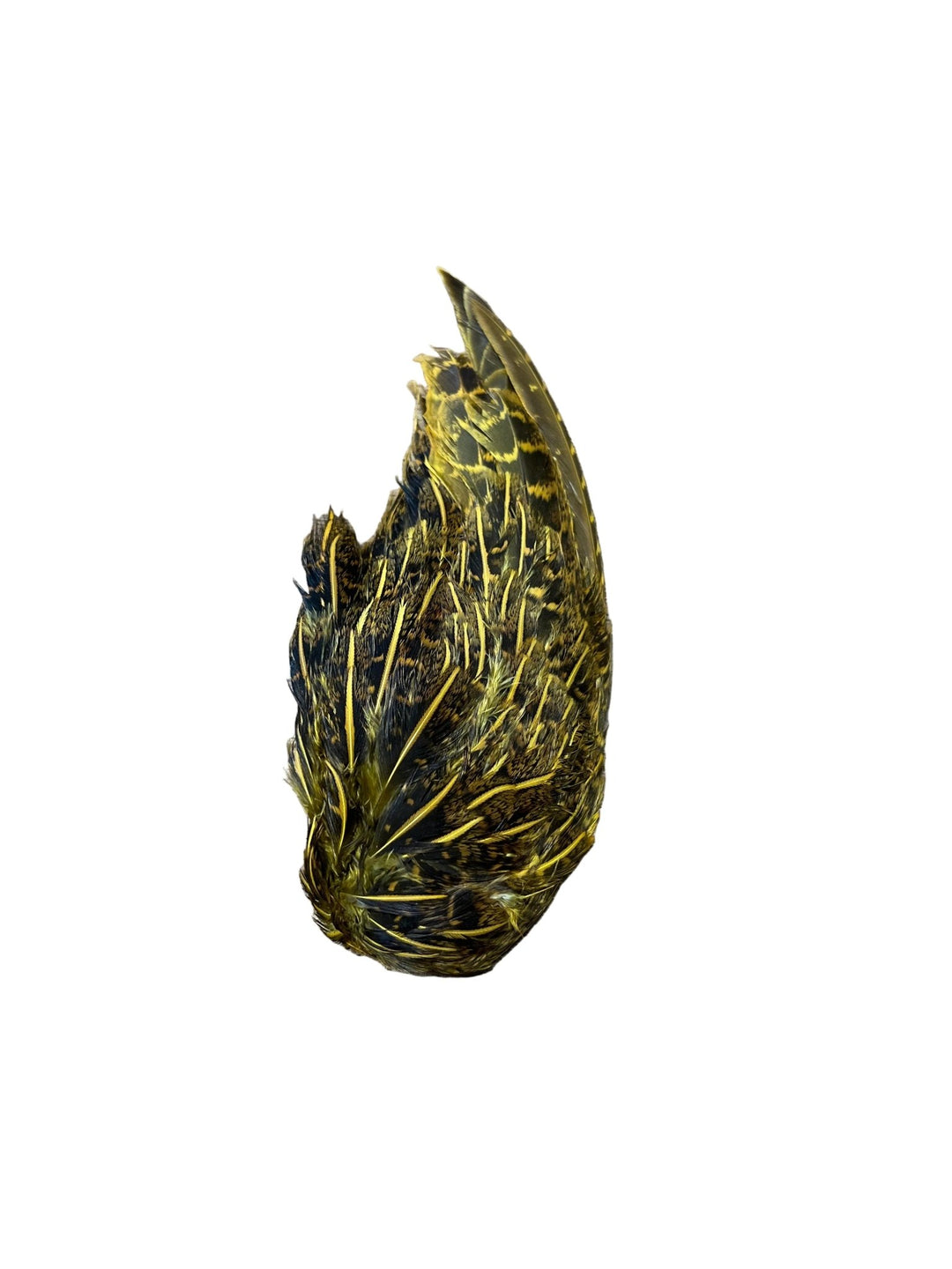 Partridge Wings Dyed - Feathers &amp; Marabou - Fly Fish Food