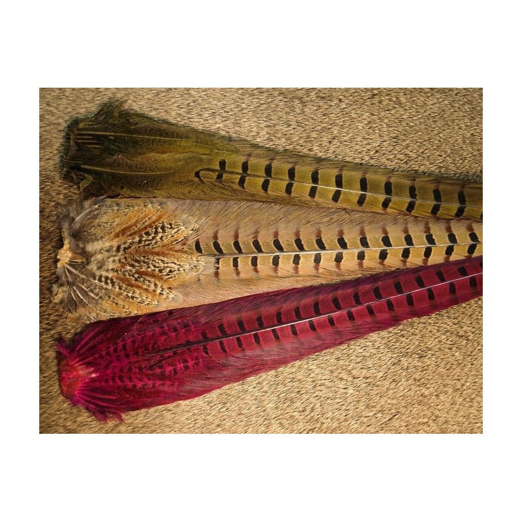 Ringneck Pheasant Tail Clumps - Feathers & Marabou - Fly Fish Food