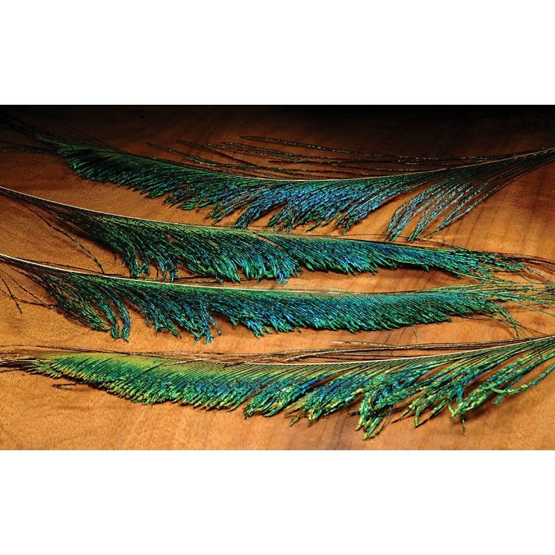 Hareline Peacock Swords - Feathers & Marabou - Fly Fish Food