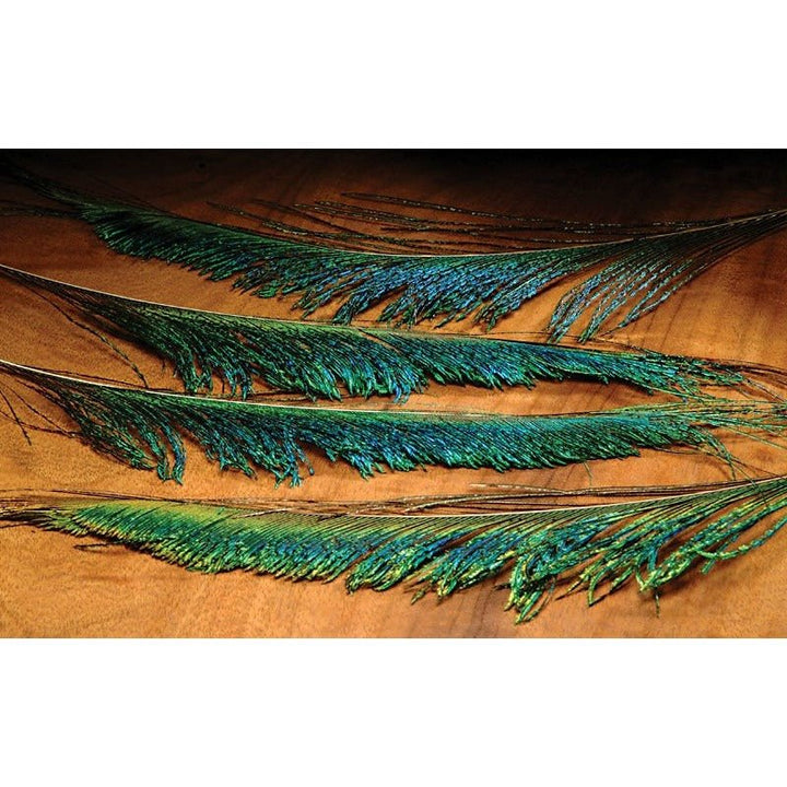 Hareline Peacock Swords - Feathers &amp; Marabou - Fly Fish Food